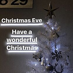 玄関/入り口/stendig calendar/クリスマスツリー/カメラマークを消したくて/クリスマス...などのインテリア実例 - 2016-12-24 09:56:31