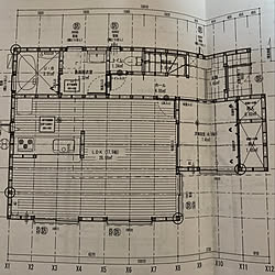 部屋全体/一階/間取り図/建売のインテリア実例 - 2018-01-14 23:35:29