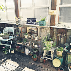 バス/トイレ/ウッドデッキgarden/NO GREEN NO LIFE/多肉植物♥︎/グリーンのある暮らし...などのインテリア実例 - 2020-10-15 10:27:27