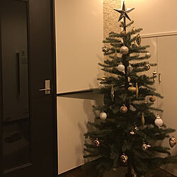 クリスマスツリー/ヘーベルハウス/IKEA/ナチュラル/観葉植物のインテリア実例 - 2017-12-03 18:22:41