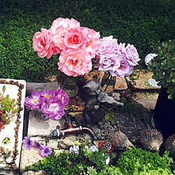 部屋全体/紫の薔薇/6月の庭/駐車場からお庭へ‥…/しょくぶつのある暮らし...などのインテリア実例 - 2021-06-11 09:47:48