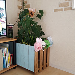 部屋全体/植物/いいね、フォロー本当に感謝デス☺︎/すのこDIY/うさぎと暮らす...などのインテリア実例 - 2017-07-23 08:27:24