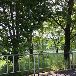 玄関/入り口/連投スミマセン★/緑がいっぱい/自宅でなくてスミマセン/近くの風景...などのインテリア実例 - 2017-05-18 17:50:45