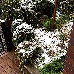 玄関/入り口/雪のインテリア実例 - 2016-11-24 15:01:52