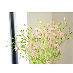 玄関/入り口/花のある風景/花のある暮らしのインテリア実例 - 2017-04-14 15:16:36