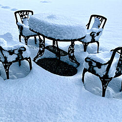 雪景色の庭/雪☃️/平屋暮らし/ガーデンテーブル/緑のある暮らし...などのインテリア実例 - 2022-12-24 12:31:48