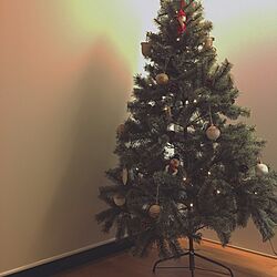 リビング/クリスマスツリー/クリスマス/すっきり/すっきりとした暮らし...などのインテリア実例 - 2016-11-12 07:28:15