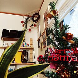 クリスマス/ランタン/ハロウィン終わってすぐにクリスマス仕様/クリスマスツリー/DIY...などのインテリア実例 - 2015-12-02 11:29:05