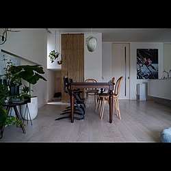 ercol/ろくろ脚/アンティーク/部屋全体/ジャパンディ...などのインテリア実例 - 2022-02-03 22:54:03