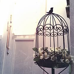 玄関/入り口/ニトリのフェイクグリーン/アイアン鳥かごのインテリア実例 - 2014-06-10 12:29:27
