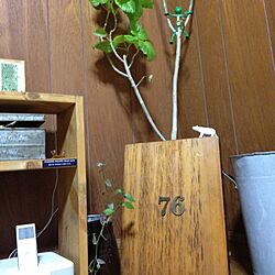 壁/天井/仕事部屋/植物/雑貨のインテリア実例 - 2013-07-29 11:30:56