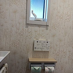 壁/天井/戸建て/PanasonicHOME'S/トイレの壁/ペーパーホルダーのインテリア実例 - 2021-07-26 17:04:39