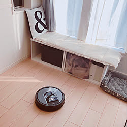 ペットのいる暮らし/ルンバのある暮らし/お掃除ロボット/ルンバ/roomba...などのインテリア実例 - 2020-11-10 13:00:32