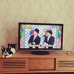 リビング/テレビ/Panasonic/建売住宅のインテリア実例 - 2016-07-31 20:53:03