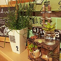 キッチン/エアープランツ/黒板♡/DIY/観葉植物...などのインテリア実例 - 2016-04-25 20:38:29