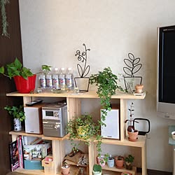 リビング/DIY/IKEA/観葉植物/ダイソー...などのインテリア実例 - 2016-06-05 09:38:41