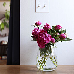 机/IKEAフラワーベース/花が好き/芍薬/花のある暮らし...などのインテリア実例 - 2018-05-04 16:31:58