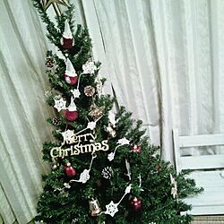 リビング/クリスマスツリーのインテリア実例 - 2013-12-01 19:51:41