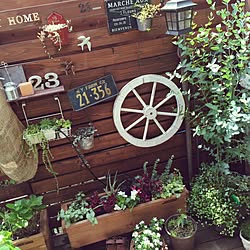 玄関/入り口/ユーカリポポラス/ウッドフェンスDIY/ウッドデッキDIY /ウッドデッキgarden...などのインテリア実例 - 2015-07-12 21:12:29