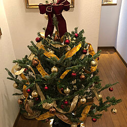 玄関/入り口/クリスマスツリー/クリスマス/IKEAのインテリア実例 - 2023-11-23 21:56:15