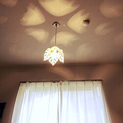 壁/天井/ライト照明のインテリア実例 - 2017-05-03 08:19:24