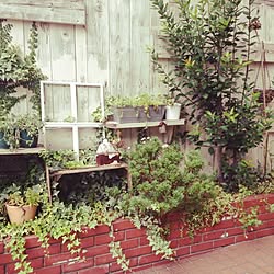 玄関/入り口/白いお家/DIY/手作り/植物...などのインテリア実例 - 2014-09-17 13:01:12