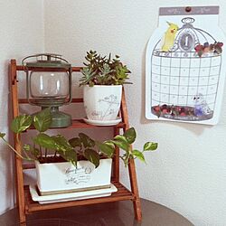 ベッド周り/多肉植物/IKEA 雑貨/植物/観葉植物　...などのインテリア実例 - 2013-10-11 07:57:24