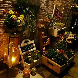玄関/入り口/ランタン風/ダイソー/ガーデン雑貨のインテリア実例 - 2015-05-13 22:47:33
