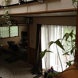 壁/天井/照明/植物/DIYのインテリア実例 - 2013-09-05 08:28:53