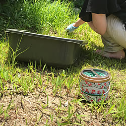 定番の虫対策/金鳥の渦巻/夏の香り/快適な暮らし/金鳥の夏...などのインテリア実例 - 2021-07-25 19:48:38