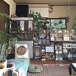 部屋全体/観葉植物/多肉植物/コルクボードリメイク/リメイクシート...などのインテリア実例 - 2016-08-03 07:06:06