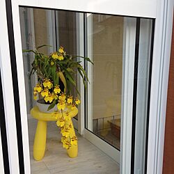 玄関/入り口/IKEA/テラス/まだ、咲いていますのインテリア実例 - 2013-12-06 08:20:24