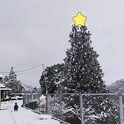 クリスマスツリー/雪景色/初雪/1歳児/雪と遊ぶ...などのインテリア実例 - 2020-12-19 09:13:48