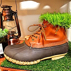 机/ＬＬBean/Beanboots/ランタン/植物...などのインテリア実例 - 2015-06-18 21:34:25