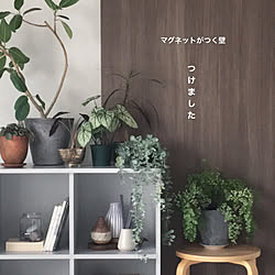 賃貸DIY/DIY/賃貸/観葉植物/IKEA...などのインテリア実例 - 2020-07-01 09:55:19