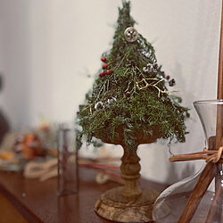 生木のクリスマスツリー/生木/クリスマスツリー/クリスマス/植物...などのインテリア実例 - 2021-12-07 17:45:26
