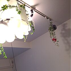 壁/天井/金魚/フェイクグリーン/照明のインテリア実例 - 2014-02-18 02:41:32