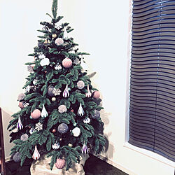 クリスマス/クリスマスツリー150cm/リビングのインテリア実例 - 2020-11-15 16:46:43