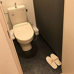 シックにしたい/トイレの壁/照明/モノトーン/バス/トイレのインテリア実例 - 2019-03-29 12:42:38
