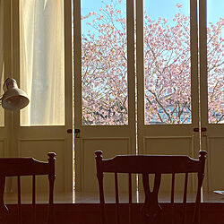 アンティークチェア/八重桜/花のある暮らし/さくら/折れ戸DIY...などのインテリア実例 - 2020-04-10 17:23:50