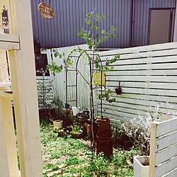 玄関/入り口/DIY/手作り/庭/植物...などのインテリア実例 - 2015-05-06 11:03:57