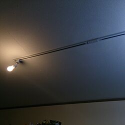 壁/天井/DIY/照明/電気工事のインテリア実例 - 2014-01-30 17:46:23