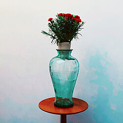 カーネーション/コーヒーテーブル/ガラスの花瓶/棚/漆喰壁のインテリア実例 - 2021-05-07 18:32:04