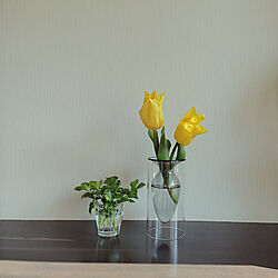 棚/植物のある暮らし/花のある暮らし/4月/春の訪れ...などのインテリア実例 - 2021-04-09 08:17:42