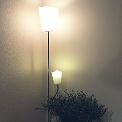 壁/天井/IKEA/ブライダルベール/観葉植物のインテリア実例 - 2014-11-16 22:59:58