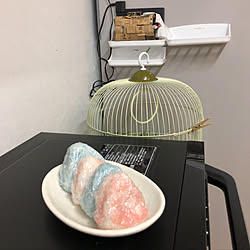 小鳥/文鳥のいる暮らし/キッチンのインテリア実例 - 2020-06-28 19:36:51