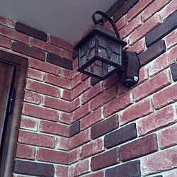 玄関/入り口/照明のインテリア実例 - 2012-07-27 19:51:56