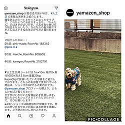 人工芝/山善/いつも見てくれてありがとうございます♡/RCの出会いに感謝♡/連投中につきコメントお気遣いなく♪...などのインテリア実例 - 2020-05-05 22:39:09