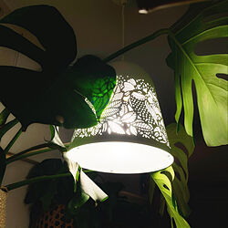 ナチュラル/観葉植物/IKEA/照明/壁/天井のインテリア実例 - 2021-01-18 01:39:10