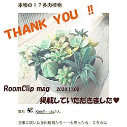 ありがとうございます♡/RoomClip mag 掲載 ！/リビング/手作り大好きのインテリア実例 - 2020-11-02 20:54:07